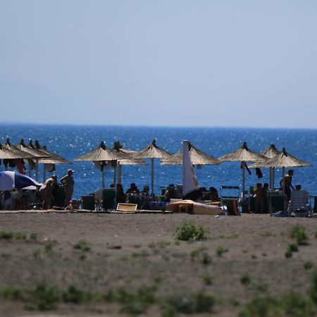 Hotel Princi I Vogel Velipojë Zewnętrze zdjęcie