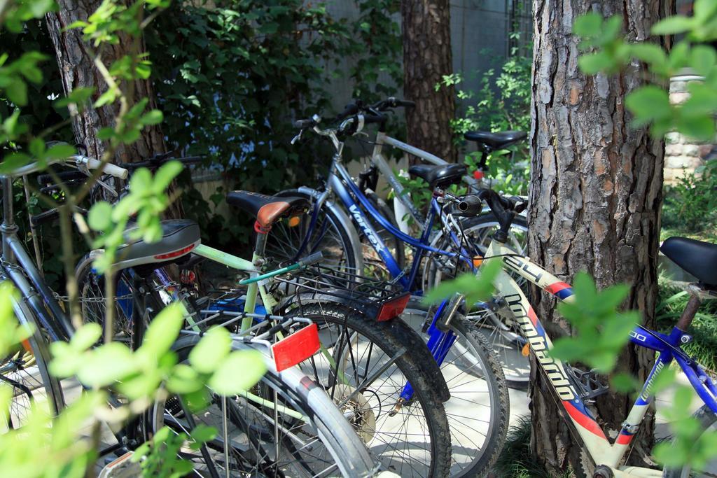 Hotel Princi I Vogel Velipojë Zewnętrze zdjęcie